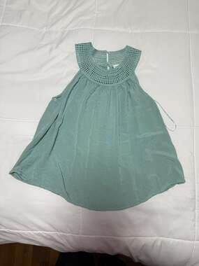 Blu Pepper Swiss Dot Crochet Neckline Sleeveless Blouse in Sage Green